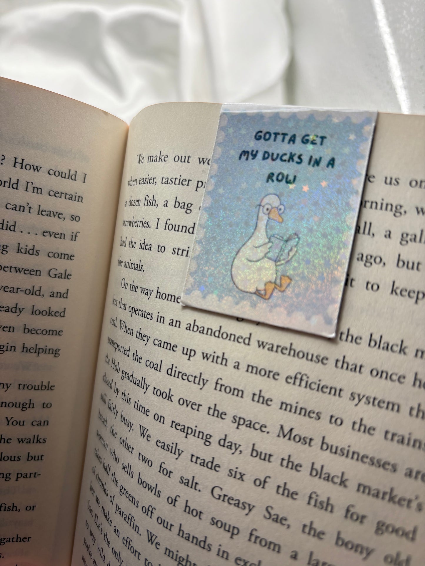 Ducks in a row Magnetic Bookmark